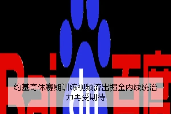 约基奇休赛期训练视频流出掘金内线统治力再受期待